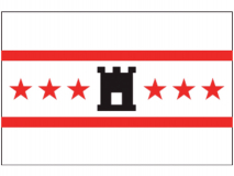 DRENTSE VLAG 20X30