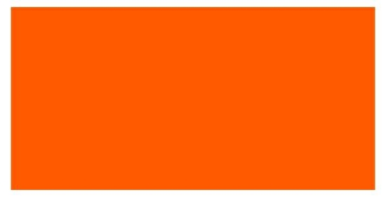 Double Coat 842 Oranje 0,5KG