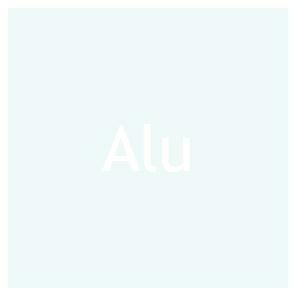 Bootlak Aluminium 2 L