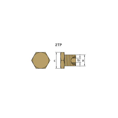 Brass Caterpillar brass plug th. 1/2'' GAS CONICO  for pencil anode