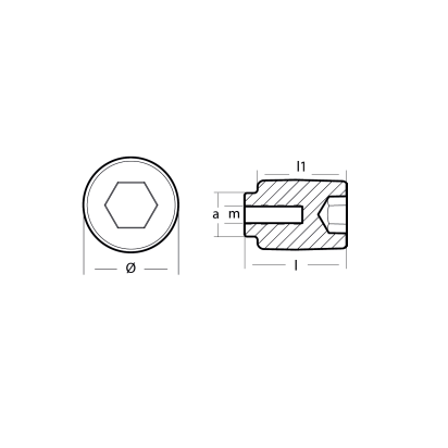 Zinc Yamaha Cylinder Crankcase anode