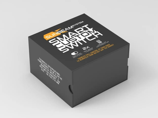 Smart Custom 2-port Switch 10A
