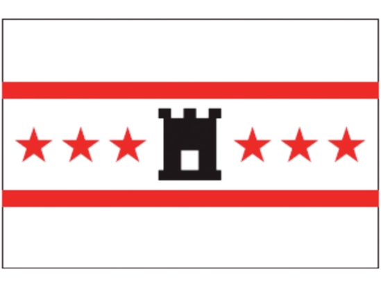 DRENTSE VLAG 20X30