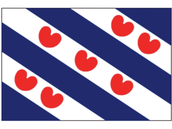 FRIESE VLAG 100X150
