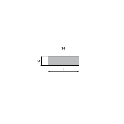 Zinc Ruggerini pencil anode zinc onlyØ 20 L.23