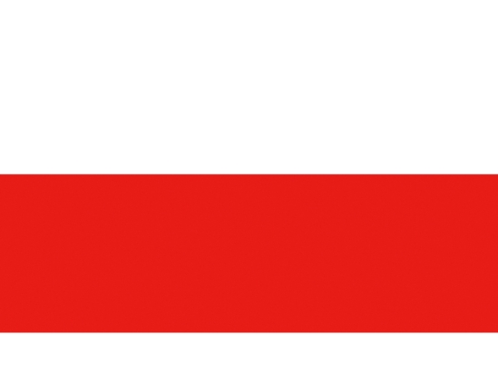 POOLSE VLAG 20X30