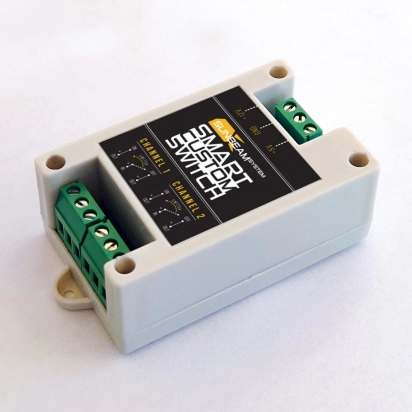 Smart Custom 2-port Switch 10A