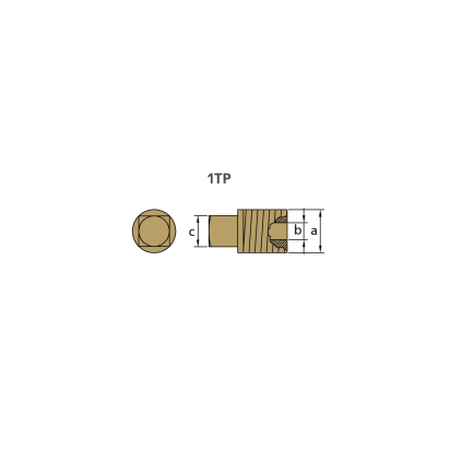 Brass Cummins brass plug th.3/8'' GAS CONICO  for pencil anode