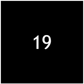 Bootlak No.19 - Zwart 2L