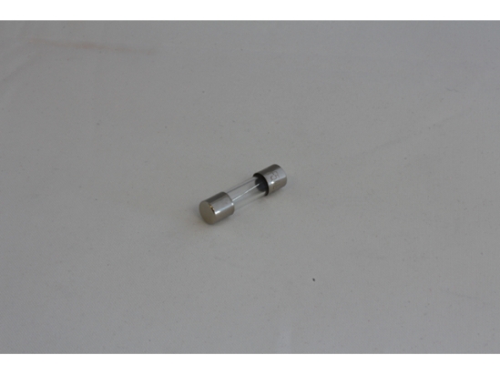 GLASZEKERING 6.3X30MM 5A (4)
