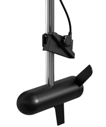 Livescope Plus, LVS34, Transducer Only