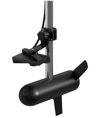 Livescope Plus, LVS34, Transducer Only