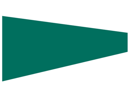 ZOLL VLAG 75X150X20 CM .