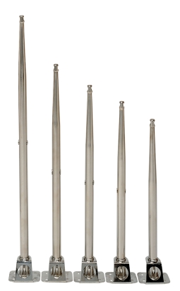 Scepter rvs lengte 750mm D 25mm met 2 gaten