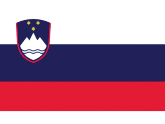 SLOVEENSE VLAG 20X30