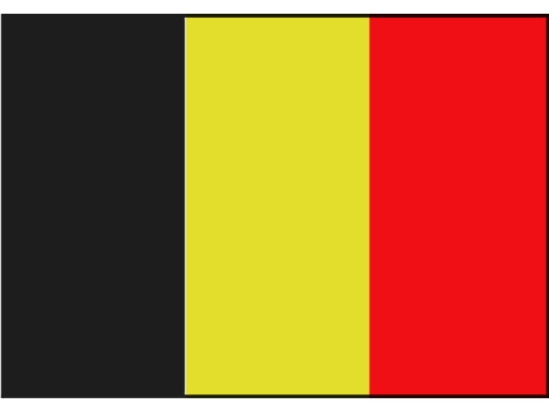 BELGISCHE VLAG 70X100