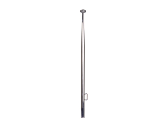 RVS VLAGGENSTOK 25X750MM